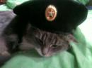 Аватара пользователя