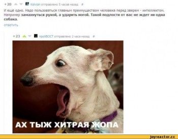 Надо_пользоваться_интеллектом.jpg