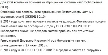 Энерговит - снижение доходов.jpg