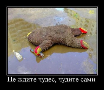 Не_ждите_чуда__Чудите_сами.jpg