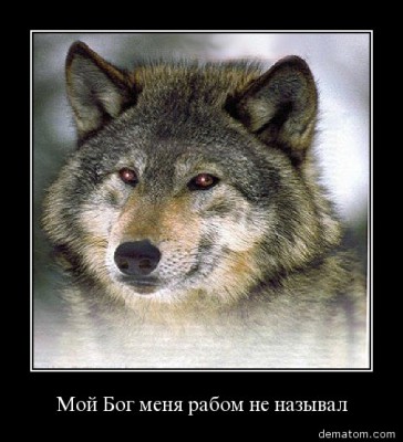 Копия (2) 48030-moi_bog_menia_rabom_ne_nazyval.jpg