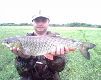 мой голавлик ))