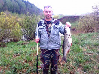 жерех этой весной