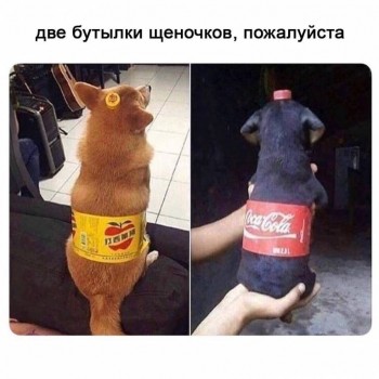 На_фестиваль_поедания_собак.jpg