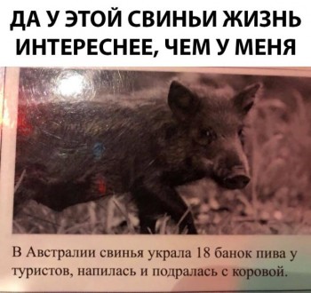 Политика - Как_же_скучно_я_живу.jpg