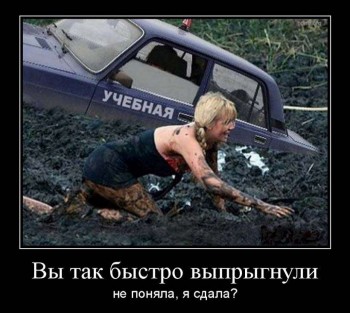 Фото жабы - 854046.jpg