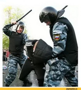 Фото жабы - полиция-задержание-бомж-киев-1861237.jpeg