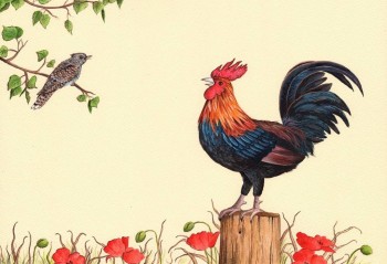 Можно ли получить УЛЧО ранее судимым - 371761_original.jpg