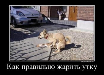 пр