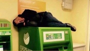 Фото жабы - Cy2PtpLXcAAiyY_.jpg