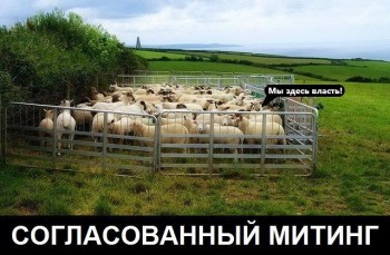 КАК МОЖНО ОБЖАЛОВАТЬ ЗАКОН О ПРИНУДИТЕЛЬНОЙ РАБОТЕ В ЧОП? - Митинг.jpg